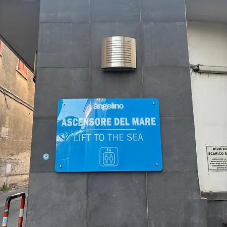 Riflesso D'azzurro